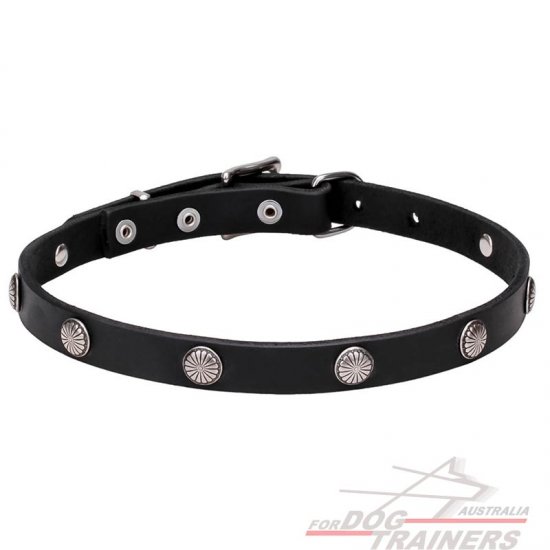 "Antique Flowers" Leather Dog Collar with Chrome Plated Round Studs 4/5 inches (20 mm) wide