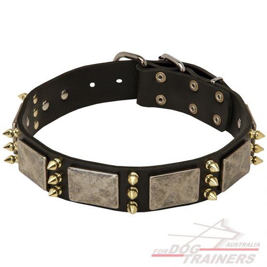 Designer Spiked Leather Dog Collar with Vintage Nickel Massive Plates and 3 Brass Spikes