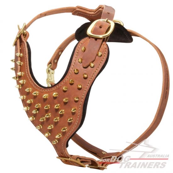 Exquisite Padded Leather Dog Harness with Brass Spikes