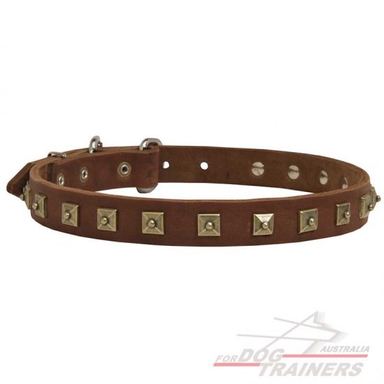 Gorgeous Decorated Leather Collar