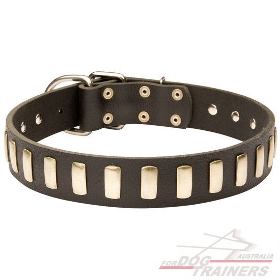 Gorgeous Leather Dog Collar with Plates