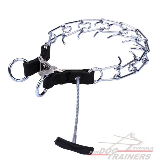 "Daily Revolution" Dog Pinch Collar with Metal Handle