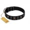 "Black Jack" Stylish Handmade FDT Artisan Black Leather dog Collar
