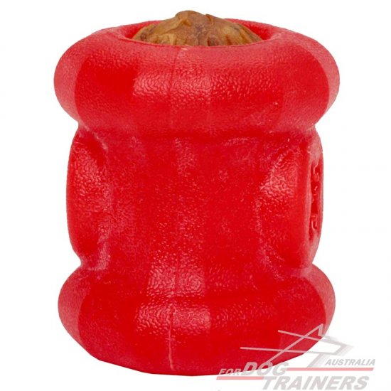 "Yammy Bobbin" Treat Holder - Chewing Dog Toy for Medium Breeds