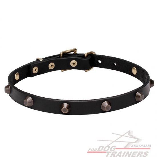 'Age of Style' Leather Dog Collar with Brass Plated Cones 4/5 inch (20 mm)