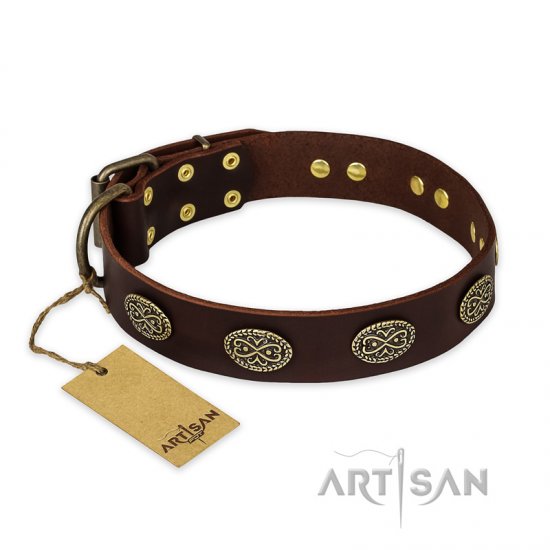 "Chocolate kiss" FDT Artisan Leather dog Collar with Old Bronze Look Oval Plates