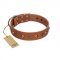 "Silver Age" Fashionable FDT Artisan Tan Leather dog Collar with Silver-Like Studs