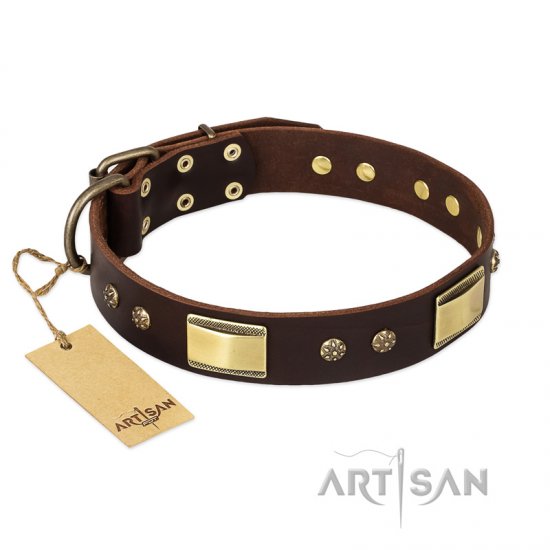 "Rich Fashion" FDT Artisan Decorated Leather dog Collar with Plates and Studs