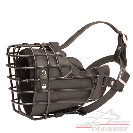 Exclusive Soft Padded Wire Basket Dog Muzzle for Winter Walking and Training