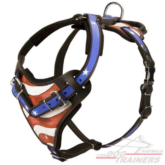 Designer Leather Dog Harness Hand Painted