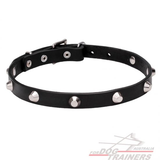 Leather Dog Collar with Chrome Plated Pyramids - "Beauty & Elegance" 4/5 inch (20 mm)