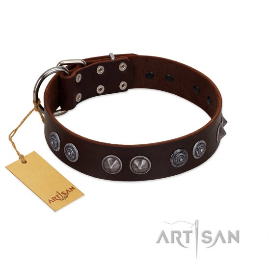 "King Arthur" FDT Artisan Brown Leather dog Collar with Spiky Plates