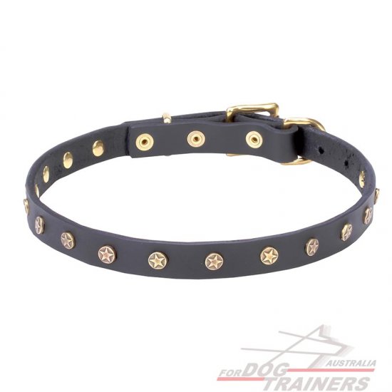 'Stars' Decorated Leather Canine Collar with Brass Studs