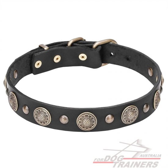 "Magic Necklace" Leather Dog Collar with Brass Circles and Studs - 1 1/5 inch (30 mm)