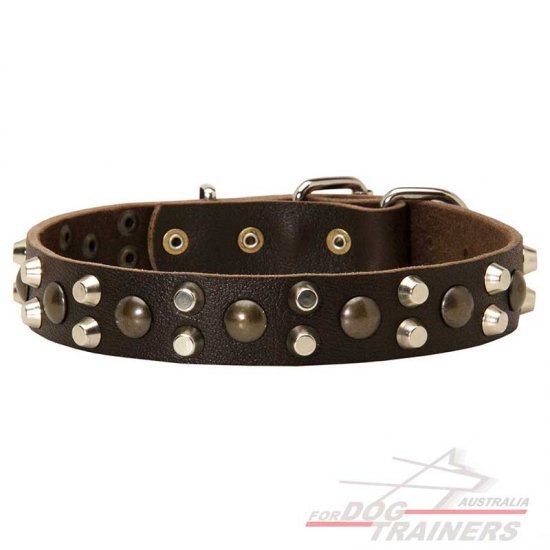 Leather Dog Collars with Studs and Pyramids
