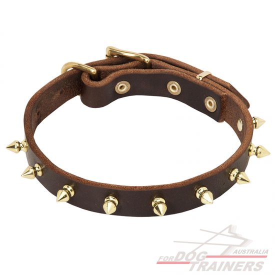 Golden Spikes Leather Walking Collar