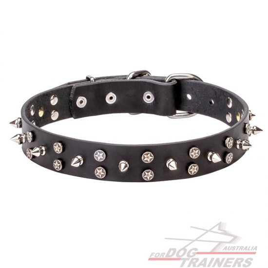 "Star-studded Sky" Leather Dog Collar