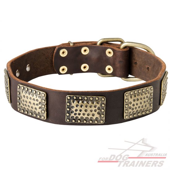 Walking Dog Collar Made of Leather