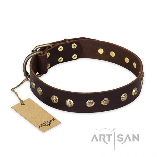 "Bronze Sheen" FDT Artisan Leather dog Collar with Brass-Plated Studs