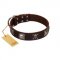 "Nut-Brown Finery" Embellished FDT Artisan Brown Leather dog Collar with Chrome Plated Crossbones and Plates