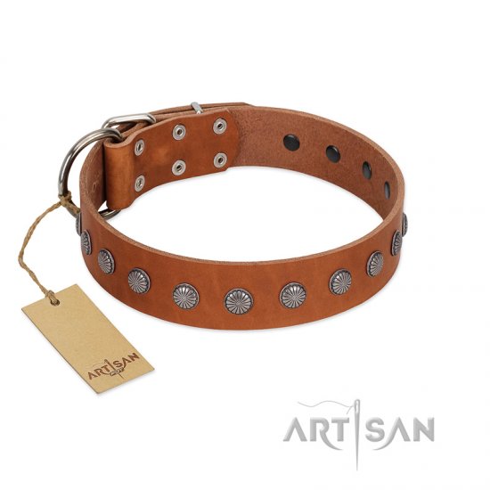 "Little Floret" Fashionable FDT Artisan Tan Leather dog Collar with Silver-Like Adornments - Click Image to Close