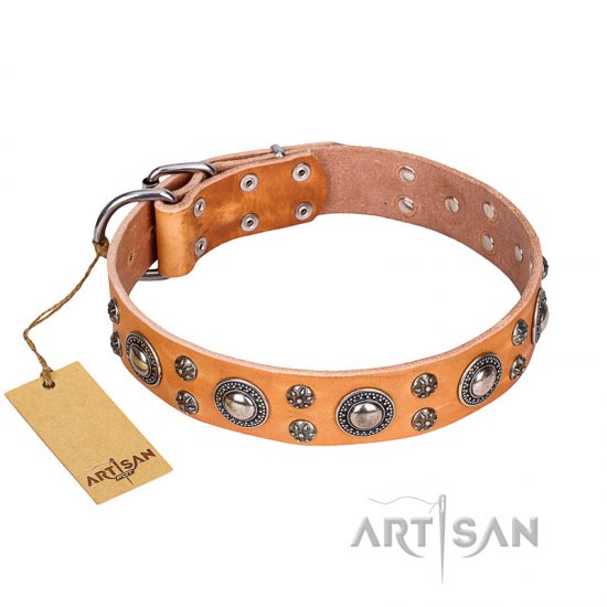 "Extra Sparkle" FDT Artisan Handcrafted Tan Leather dog Collar