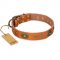 "Dandy Pet" FDT Artisan Handcrafted Tan Leather dog Collar