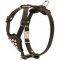 Studded Leather Puppy Harness