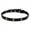 4/5 inch - 20 mm Leather Dog Collar "Lucky" with Nickel Plated Engraved Studs