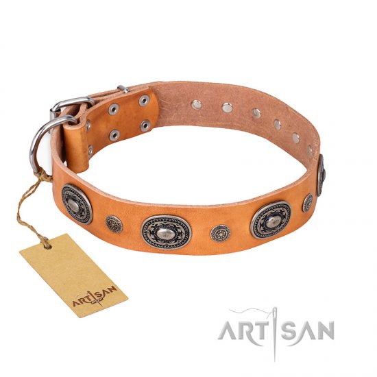"Twinkle Twinkle" FDT Artisan Incredible Studded Tan Leather dog Collar