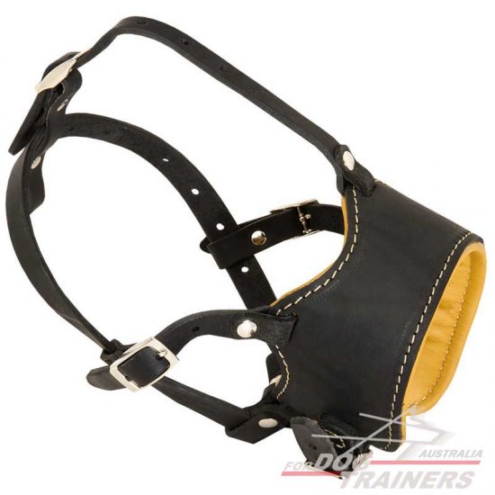 Leather muzzle-Anti-barking Padded muzzle