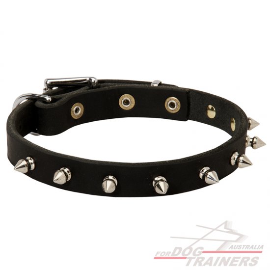 Stylish Leather Dog Collar with One Row Spikes
