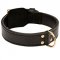 Extra Strong 2 ply Leather Dog Training Collar