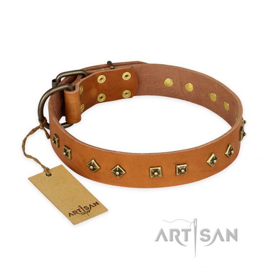 "Autumn Story" FDT Artisan Leather dog Collar with Old Bronze Look Studs