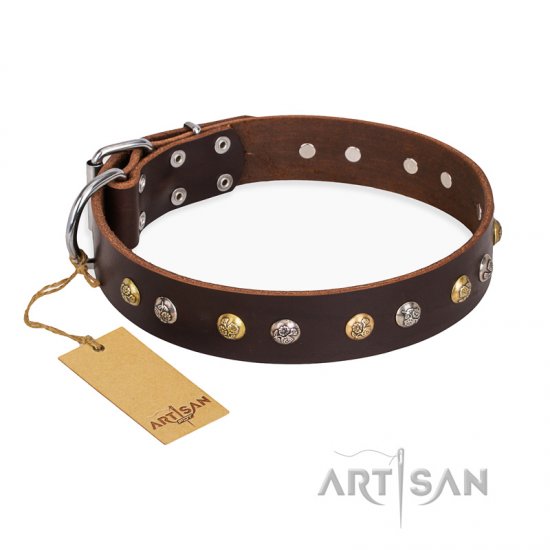 "Rare Flower" FDT Artisan Brown Leather dog Collar Adorned with Old-look Hemisphere Studs