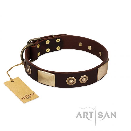 "Sense of Freedom" FDT Artisan Brown Leather dog Collar with Old Bronze-Plated Studs and Plates