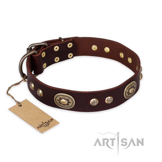 "Breath of Elegance" FDT Artisan Decorated with Plates Brown Leather dog Collar