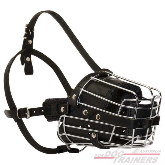 Padded Training Leather Dog Muzzle With Metal Cage