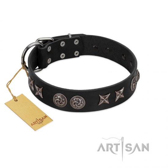 "Century Silver" Designer Handmade FDT Artisan Black Leather dog Collar