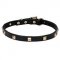 Leather Dog Collar with Brass Studs - "Modern Style" 4/5 inch (20 mm)
