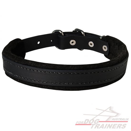 Beautiful Collar with Felt Padding for Attack / Protection Training