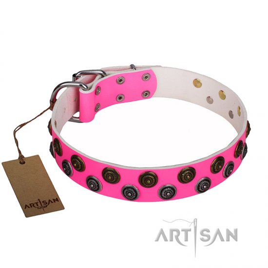 "Glamour Finery" FDT Artisan Female dog collar of natural leather with stylish old-looking circles