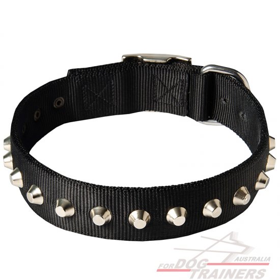 Fashionable Wide Nylon Dog Collar With Nickel Plated Pyramids