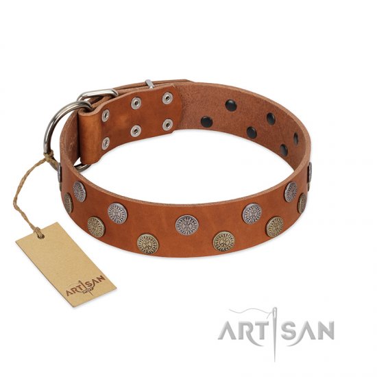 "Ancient Symbol" Trendy FDT Artisan Tan Leather dog Collar with Silver- and Gold-Like Studs