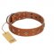 "Dreamy Gleam" FDT Artisan Tan Leather dog Collar Adorned with Stars and Squares