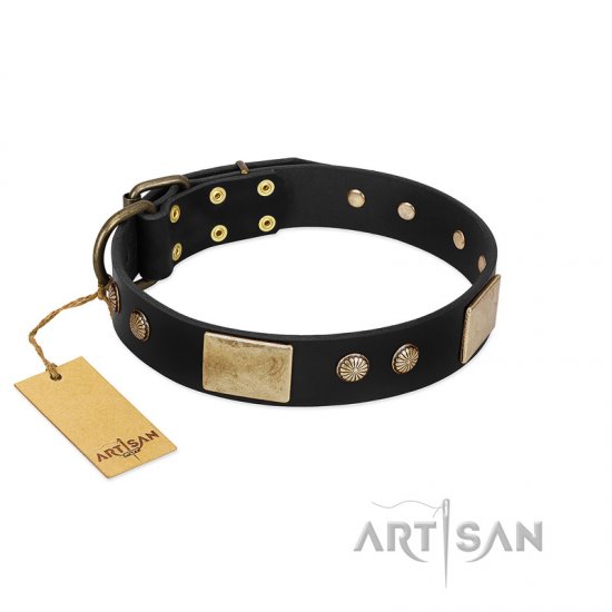 "Antique Gloss" FDT Artisan Black Leather dog Collar with Bronze-like Plates and Small Studs