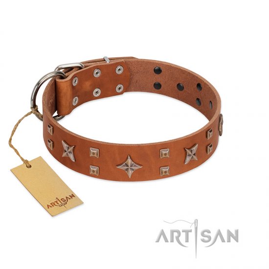 "Dreamy Gleam" FDT Artisan Tan Leather dog Collar Adorned with Stars and Squares