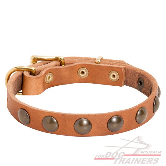 Studded Leather Dog Collar for Walking