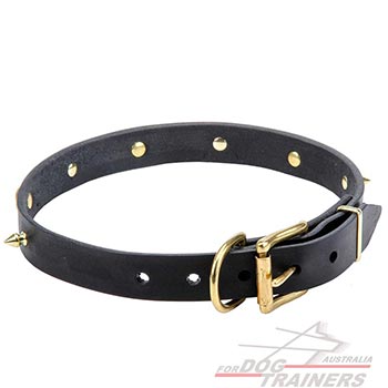 Adjustable Leather Dog Collar