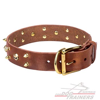 Full grain natural leather dog collar of tan color